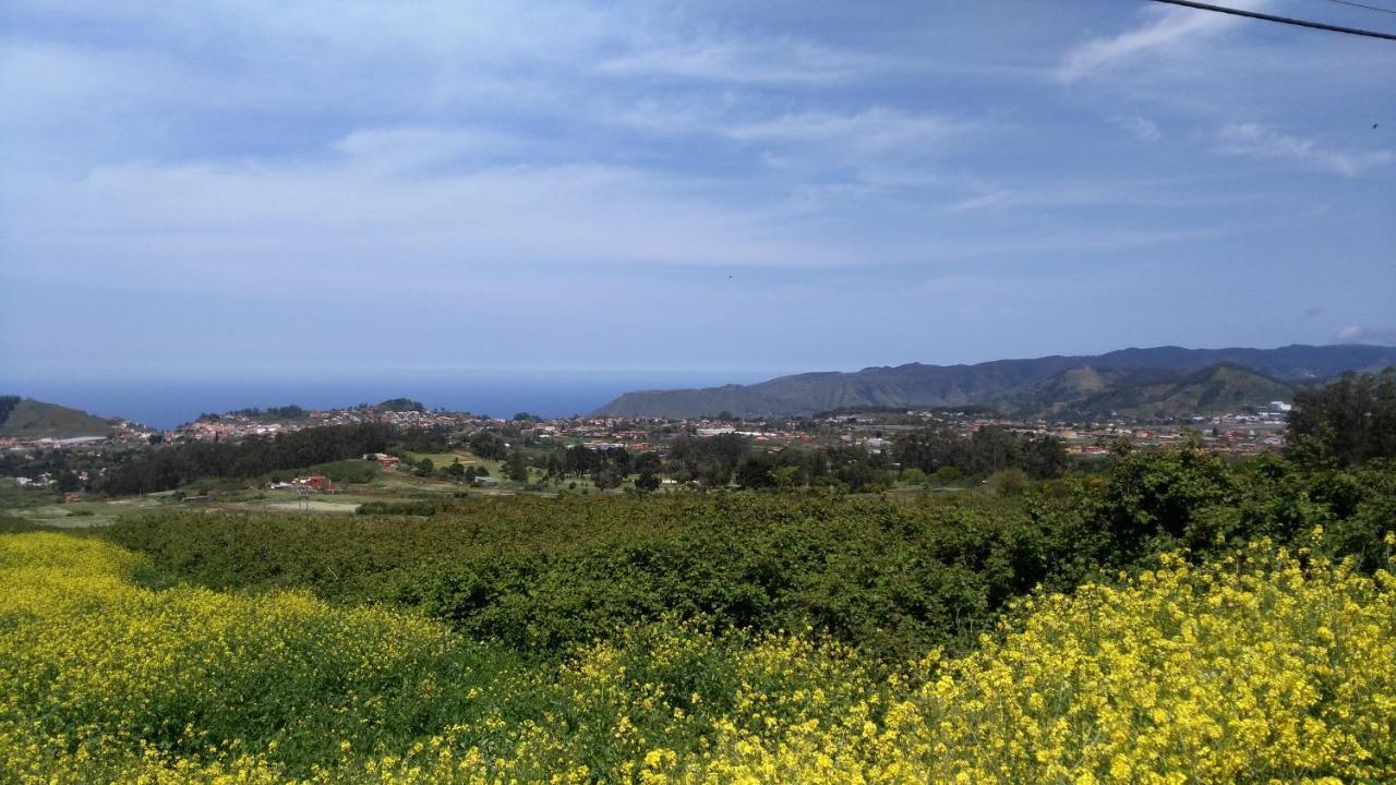 Apartamento Privado En Una Zona Tranquila Y Proxima Al Aeropuerto Tf Norte Y A La Ciudad De San Cristobal De La Laguna . Cameră foto